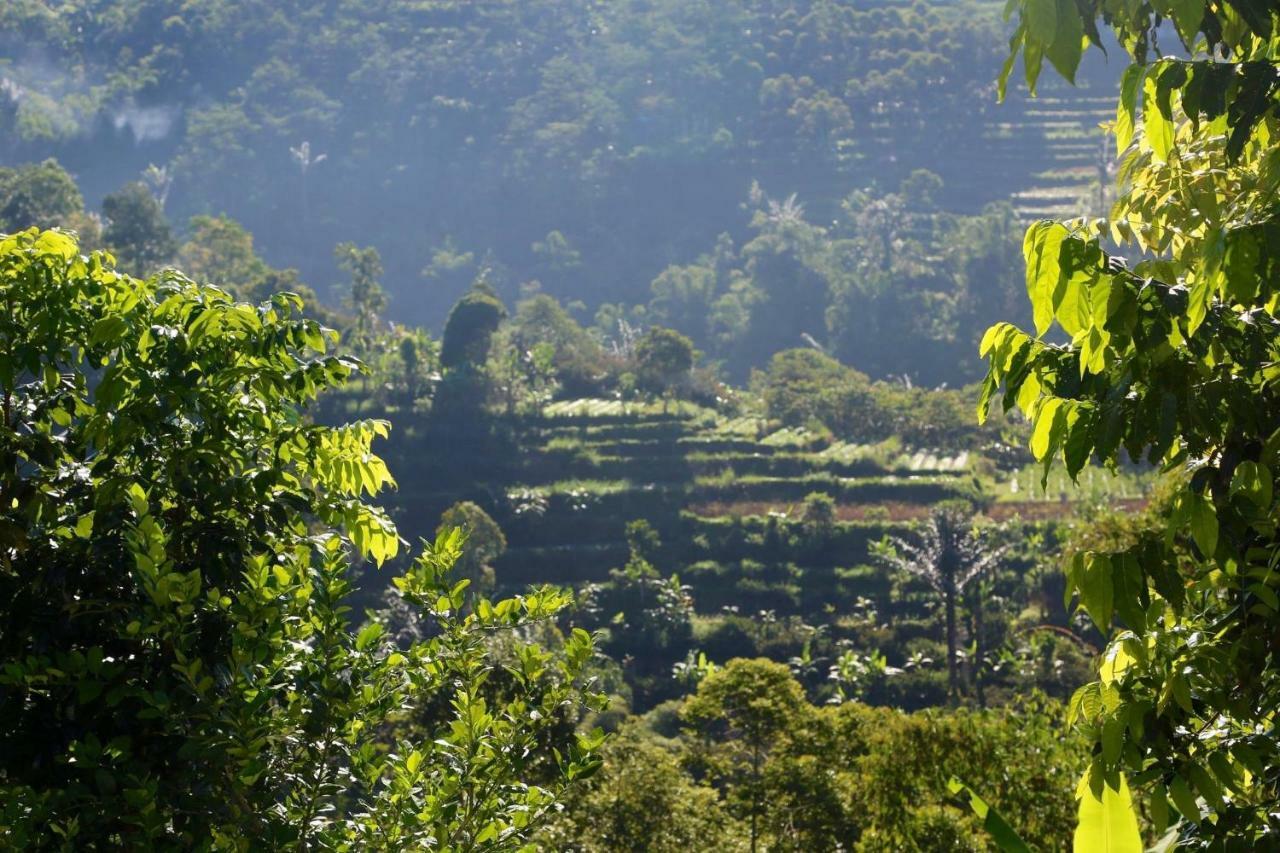 Pondok Plantation Luxury Mountain Escape Bedugul Bedugul  Exterior photo