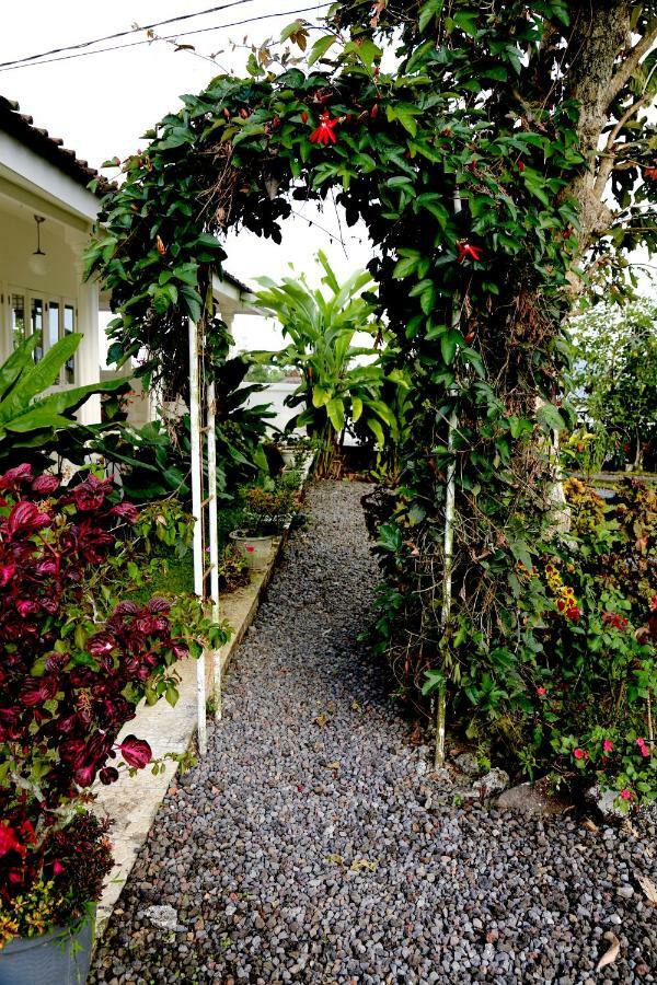 Pondok Plantation Luxury Mountain Escape Bedugul Bedugul  Exterior photo